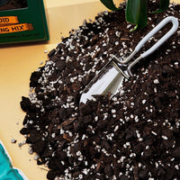 Plant Runner Aroid Potting Mix | 7L bag