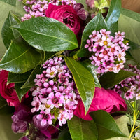 $30 Locally grown arrangement