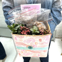 Fish bowl terrarium mixed fittonia