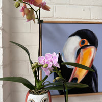 Ellen Designs | Lady Blush Planter-Vase