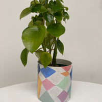 Clare Whitney Hand Painted Pot