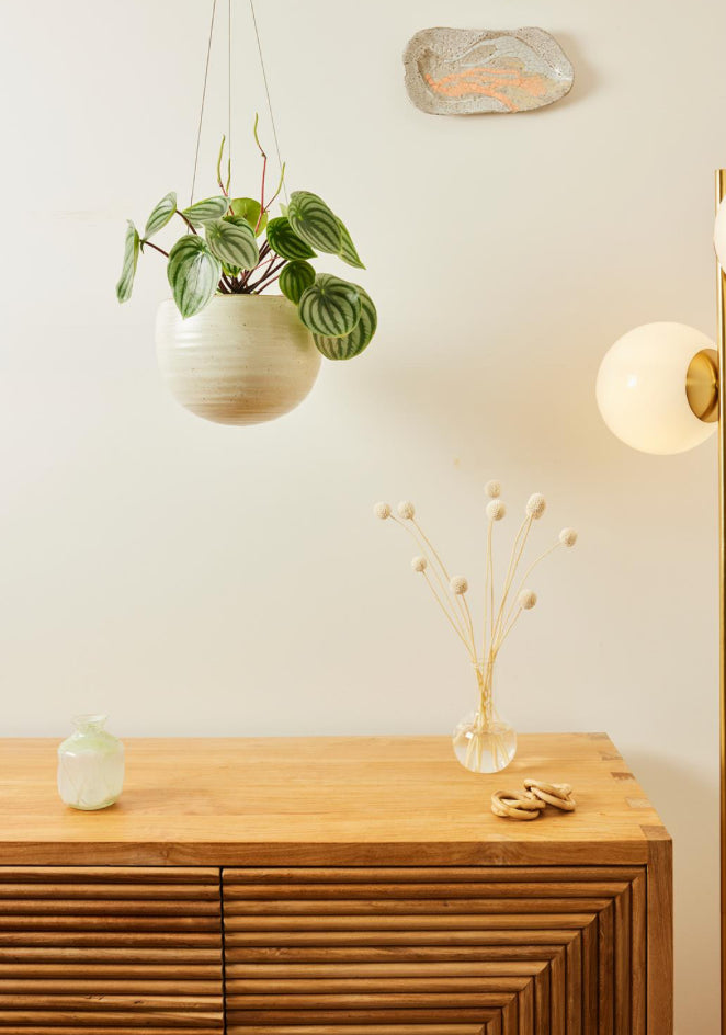 A&C Spherical Hanging Planter
