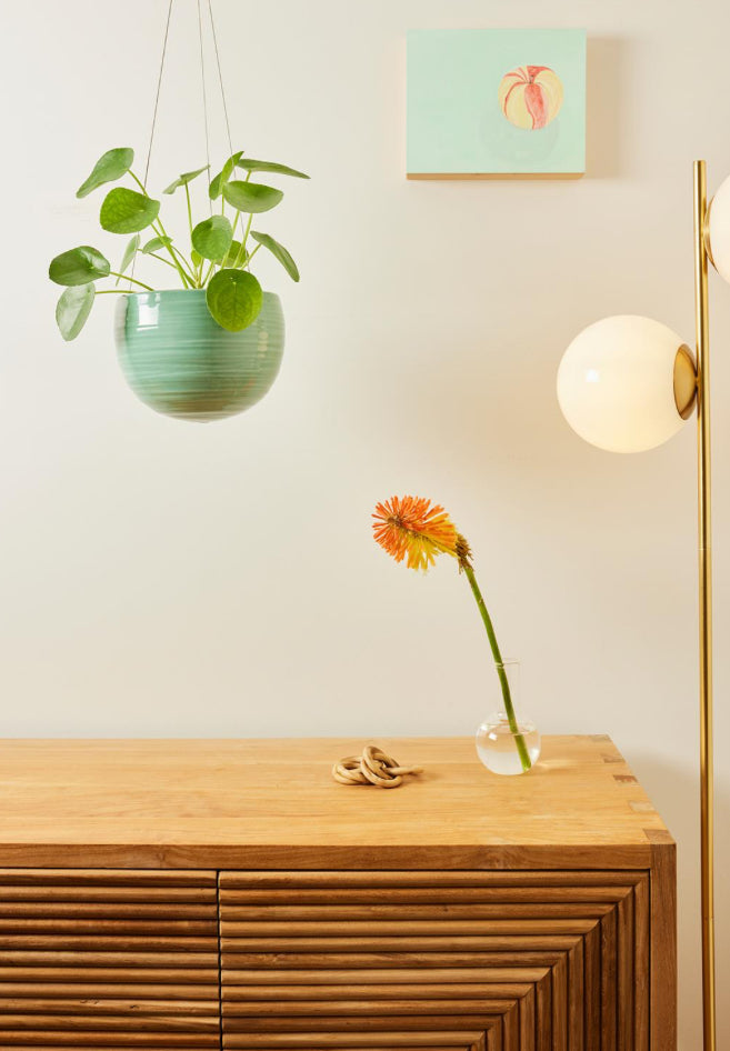 A&C Spherical Hanging Planter