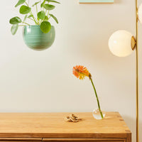 A&C Spherical Hanging Planter