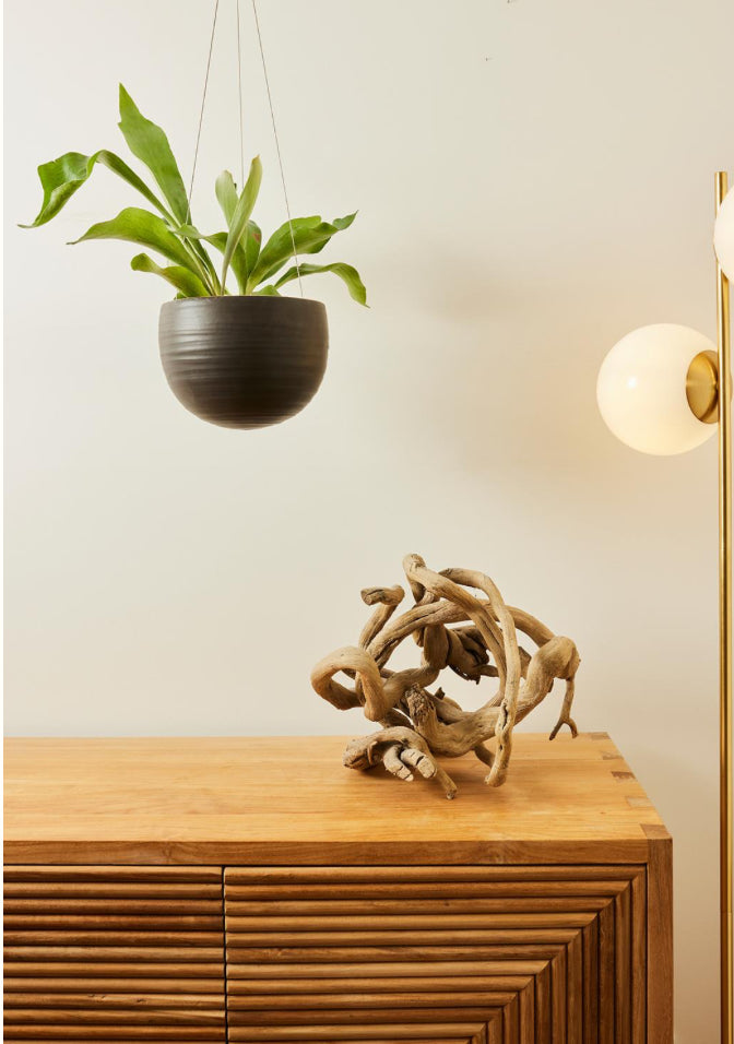 A&C Spherical Hanging Planter