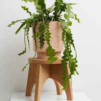 Cork Plant Stand