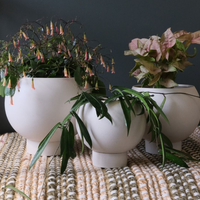 Orbit Planter | MEDIUM