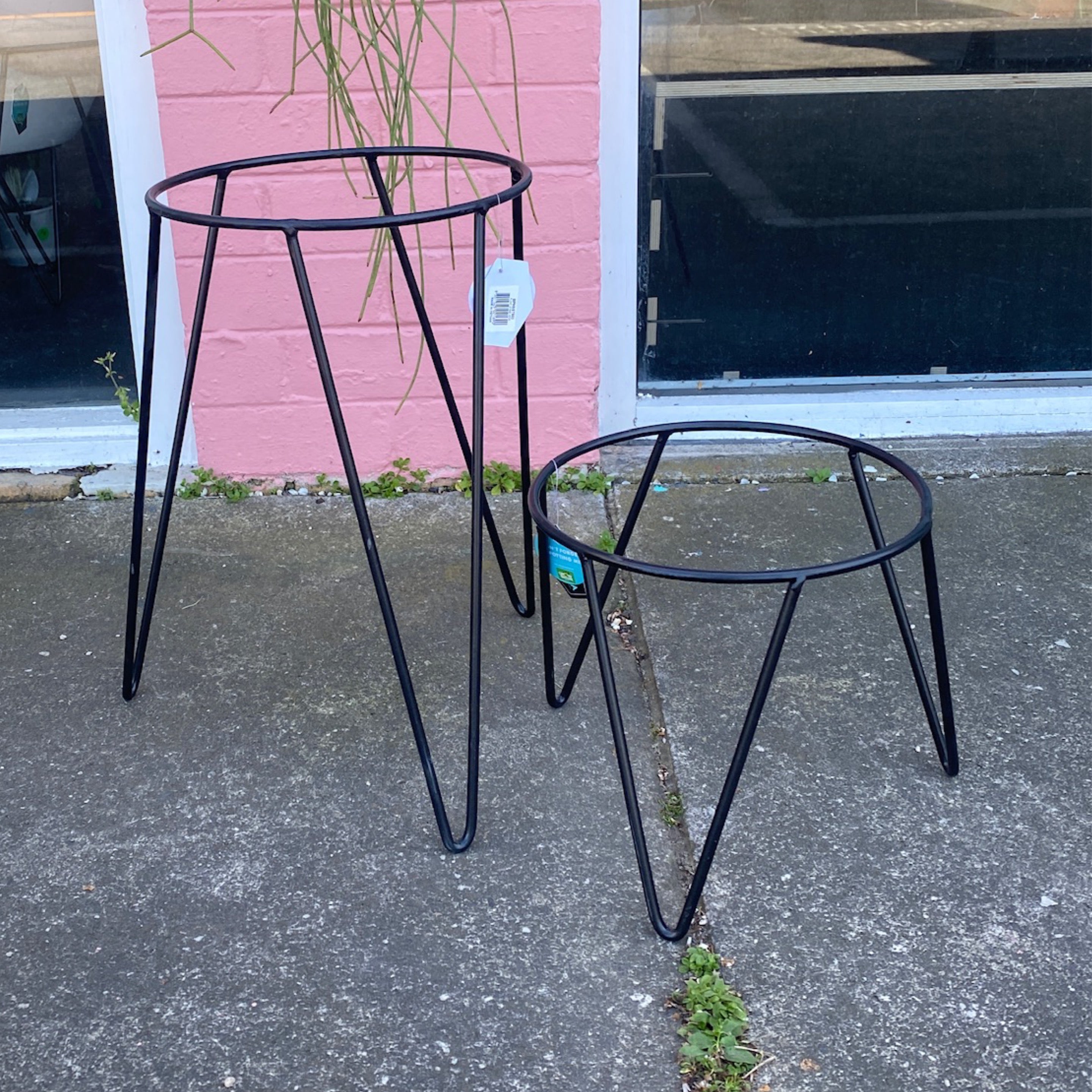 pot plant stand bunnings BP PLANT STAND – In Bloom horticulture