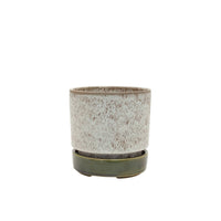 Pollock Planter | Small | Limestone | Potted