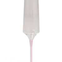 Marshmallow and Marmalade Champagne Glasses | set of 2