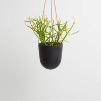 Block Colour Hanging Pot | Midnight