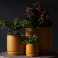 Oslo Planter | Mini | Tobacco | Potted