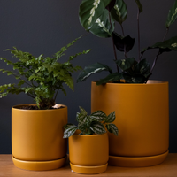 Oslo Planter | Mini | Tobacco | Potted