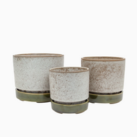 Pollock Planter | Large | Limestone | Potted