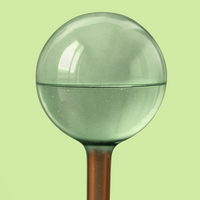 We the Wild | Self-Watering Plant Globes