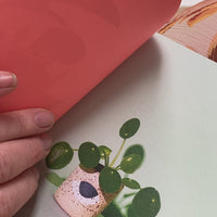 LITTLE BOOK OF HOUSE PLANTS AND OTHER GREENERY | Emma Sibley