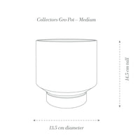 Angus & Celeste Grow Planter Medium Dimentions