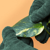 WE THE WILD Leaf Cleaning Microfibre Gloves