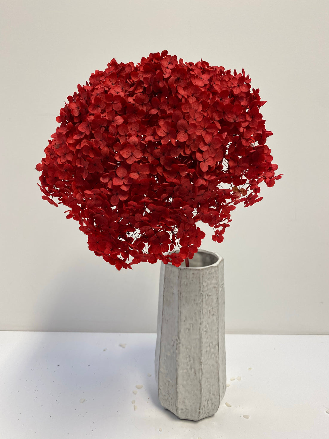 Preserved Hydrangea | stem