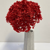 Preserved Hydrangea | stem
