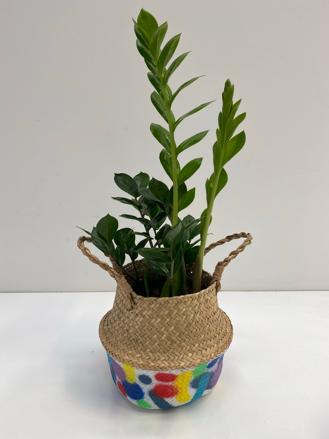 Clare Whitney hand painted basket