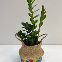 Clare Whitney hand painted basket