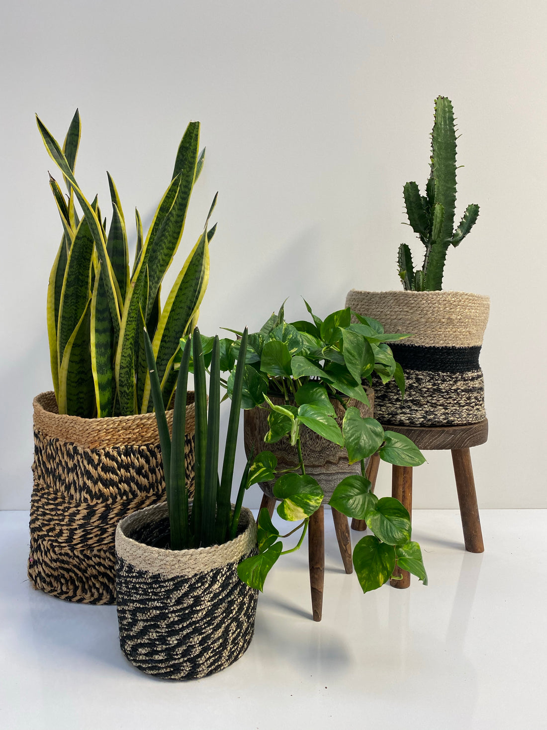 Timber stools