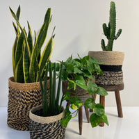 Timber stools