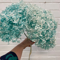 Preserved Hydrangea | stem