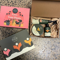 We The Wild Plant Care Pack