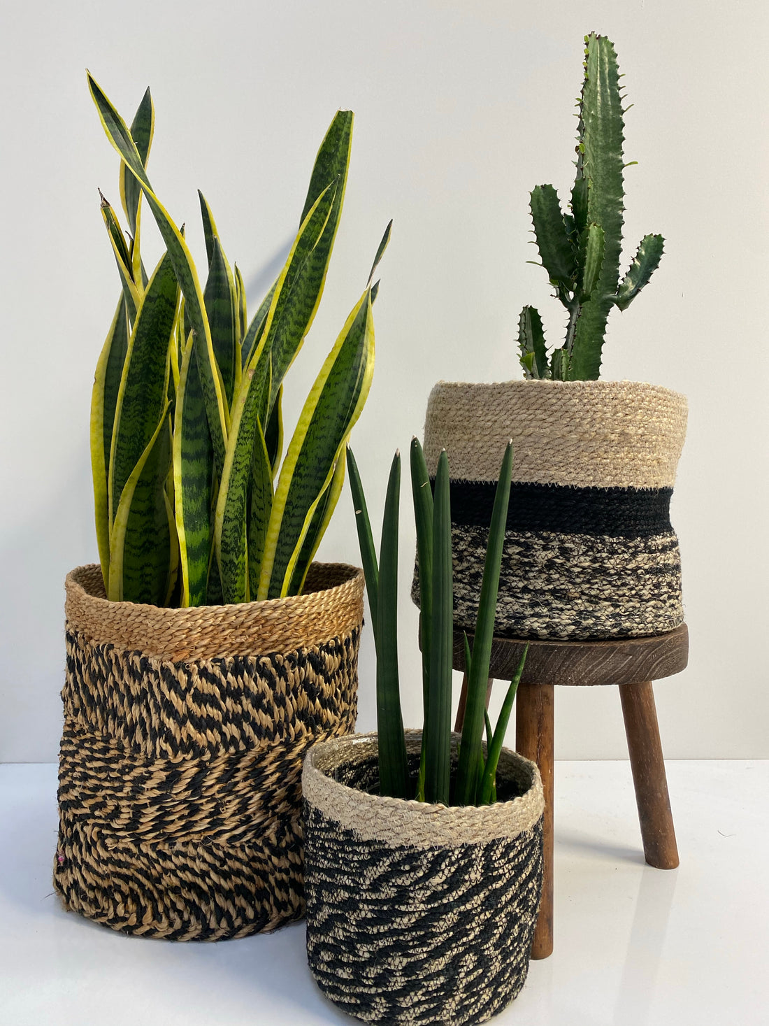 Timber stools