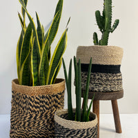 Timber stools