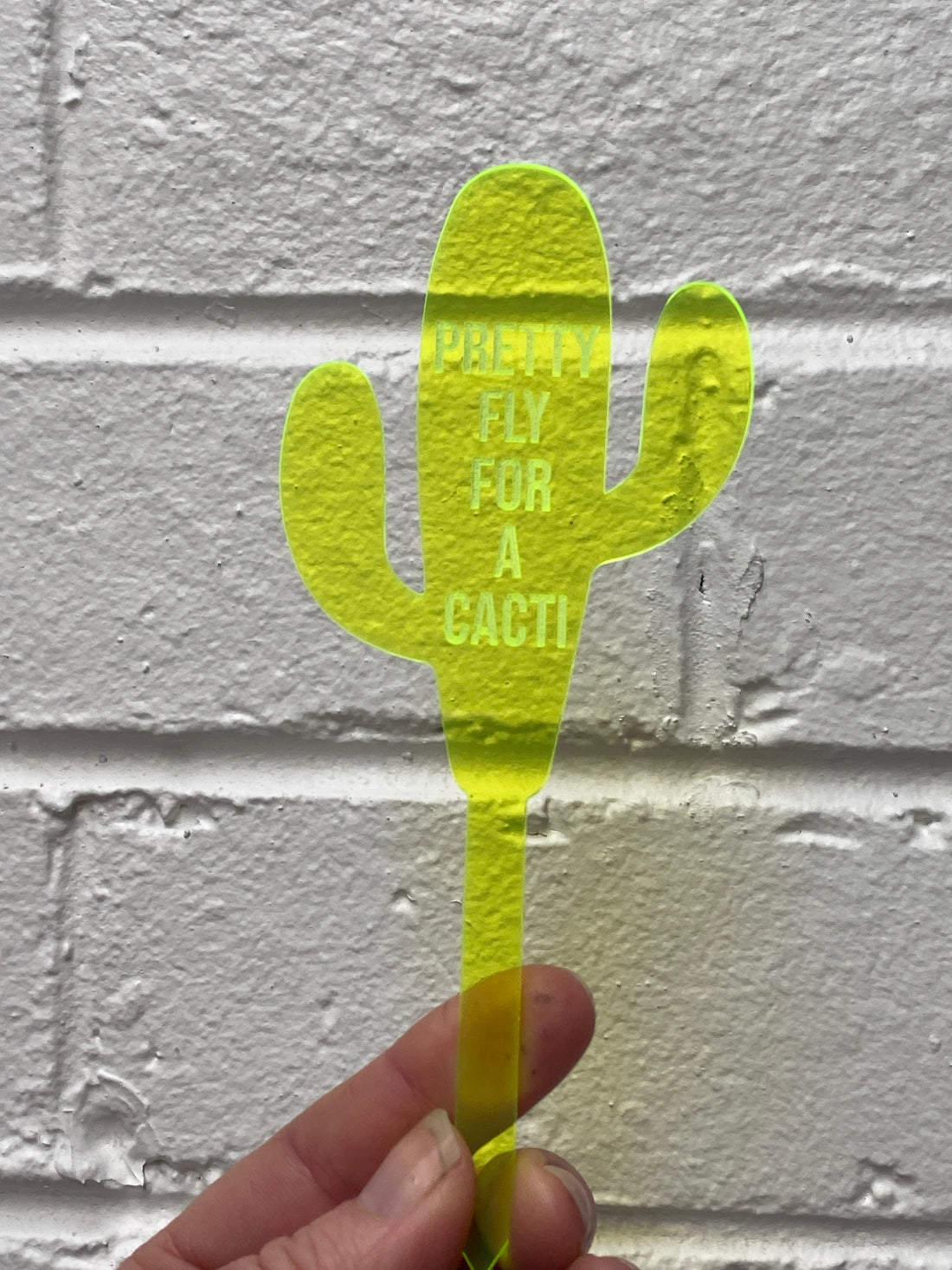 Affirmation Plant Stake