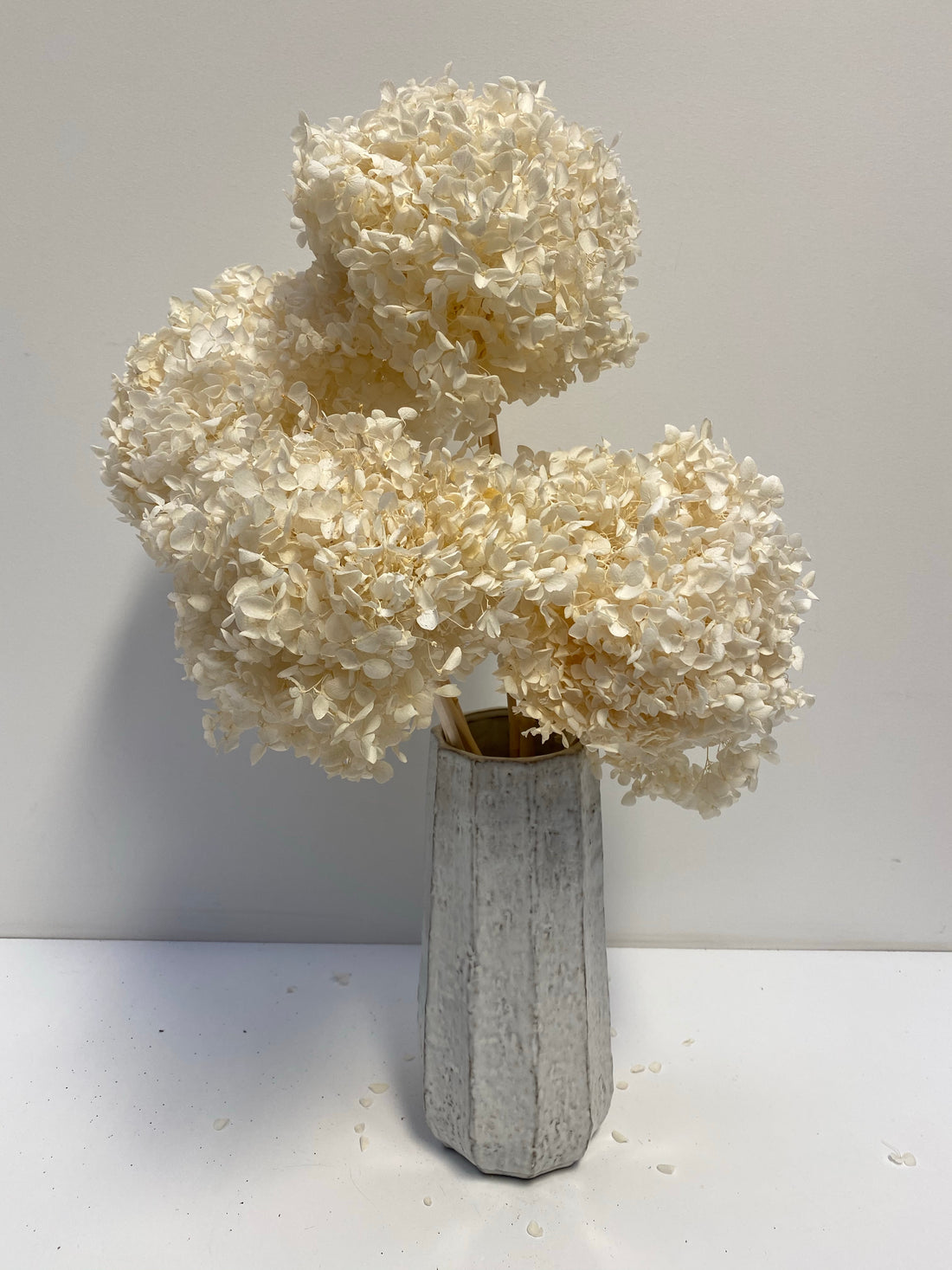 Preserved Hydrangea | stem