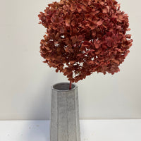 Preserved Hydrangea | stem