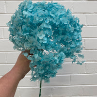 Preserved Hydrangea | stem
