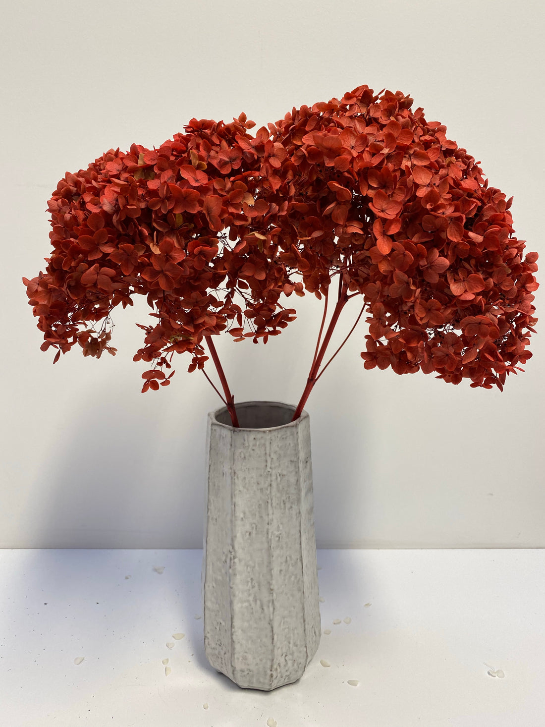 Preserved Hydrangea | stem