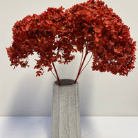 Preserved Hydrangea | stem