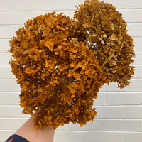 Preserved Hydrangea | stem