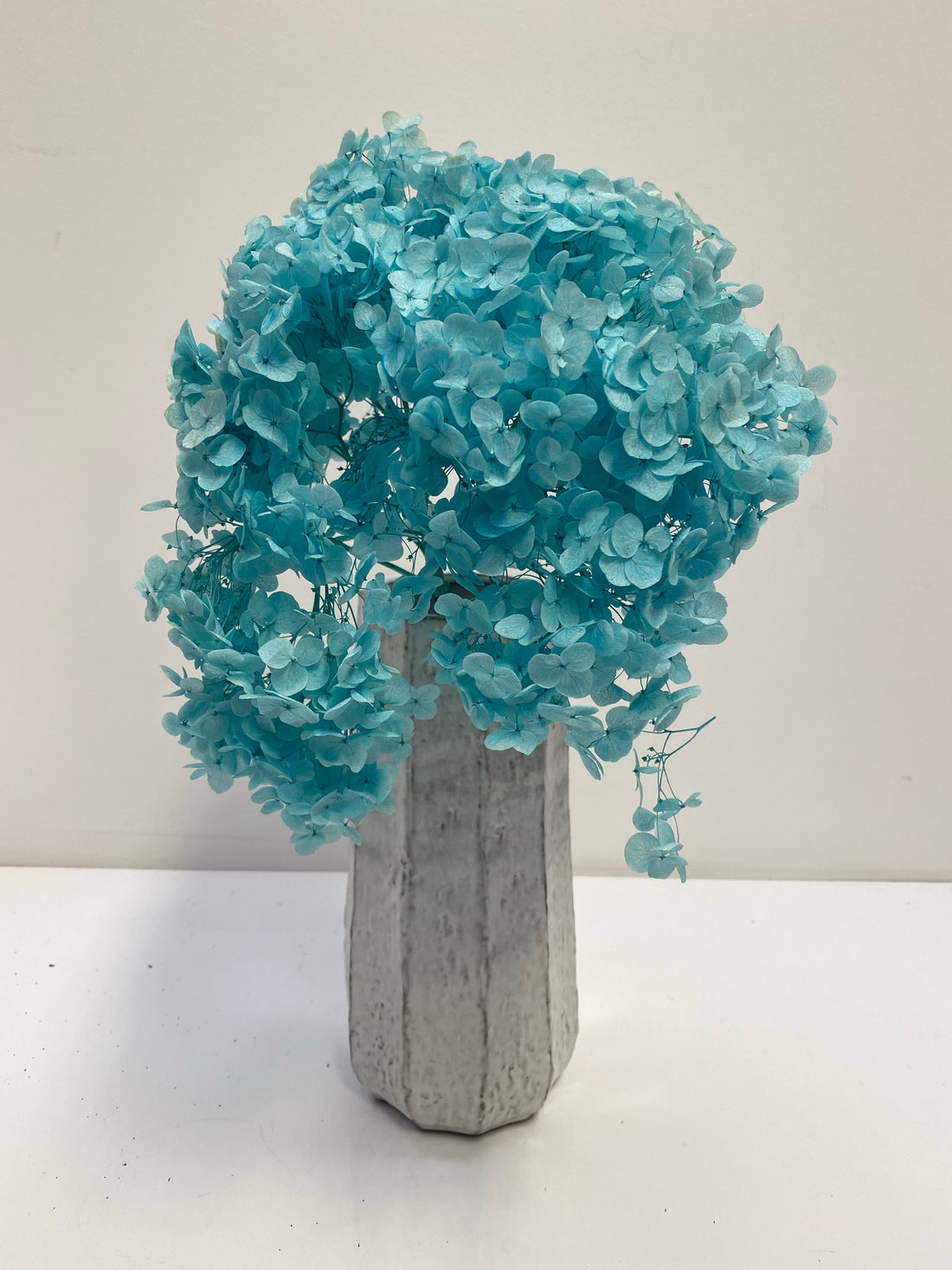 Preserved Hydrangea | stem