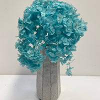 Preserved Hydrangea | stem