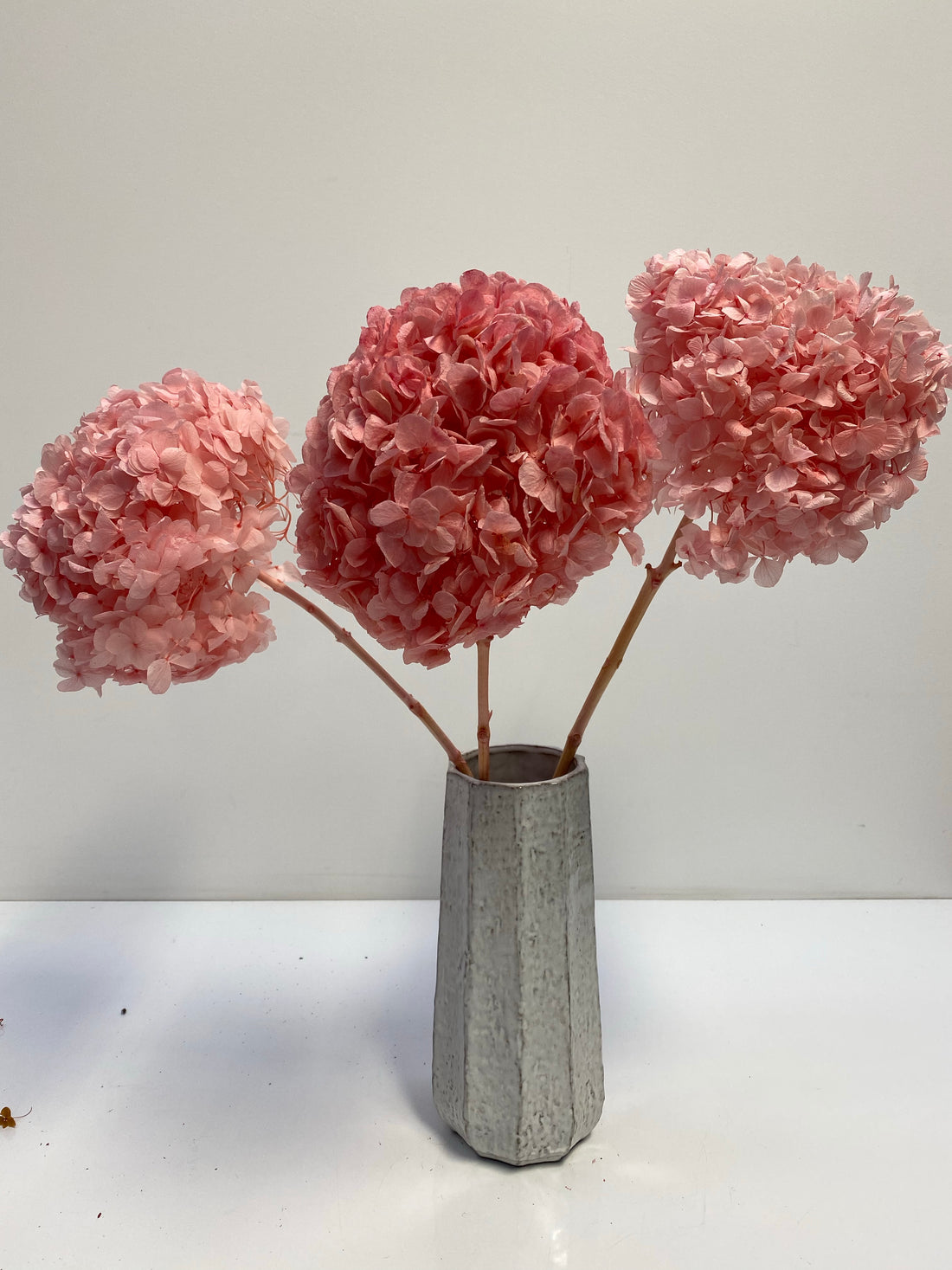 Preserved Hydrangea | stem