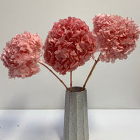 Preserved Hydrangea | stem