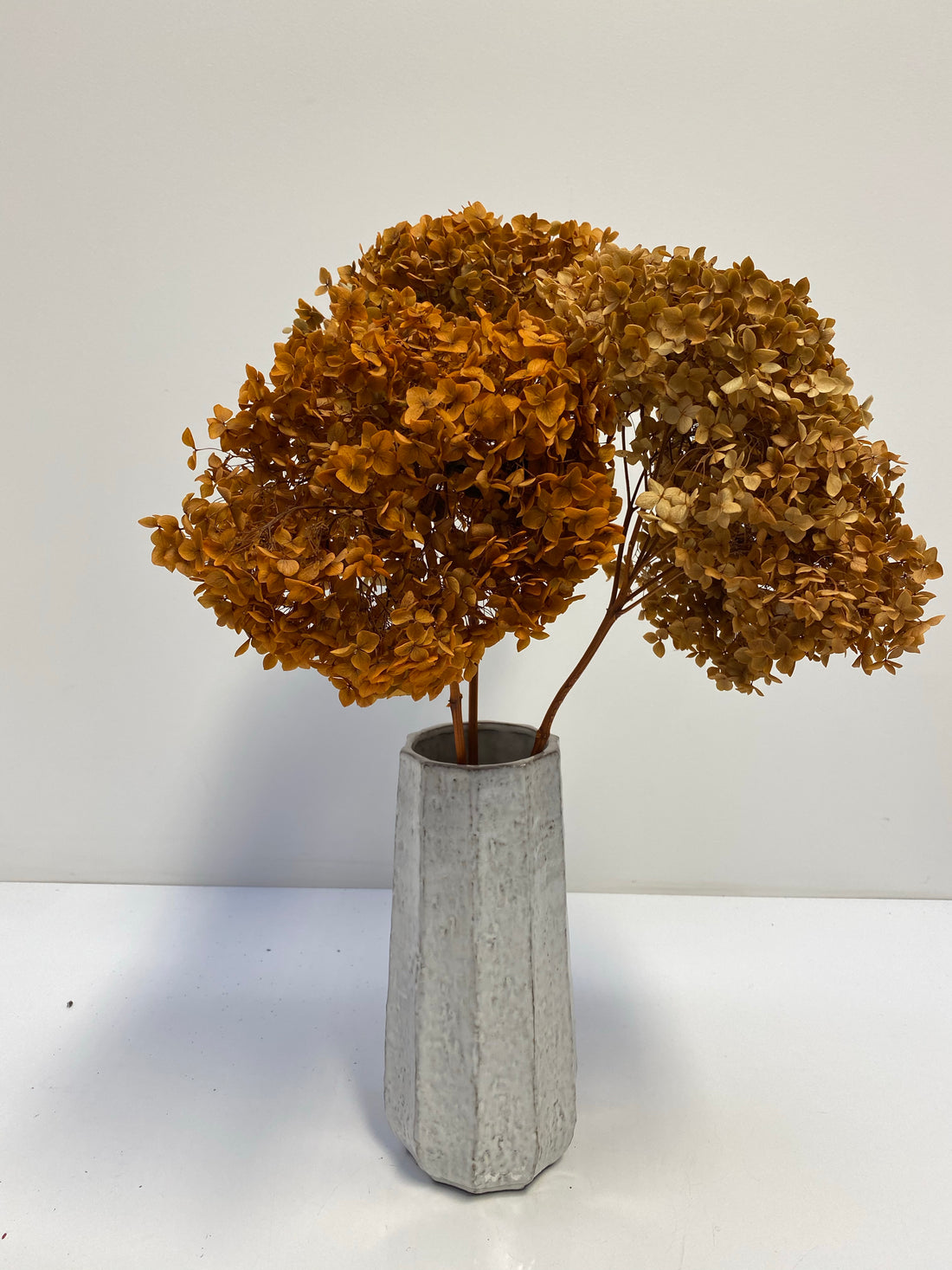 Preserved Hydrangea | stem