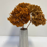 Preserved Hydrangea | stem