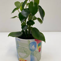 Hand Painted Clare Whitney CeramicPot | 15cmx15cm