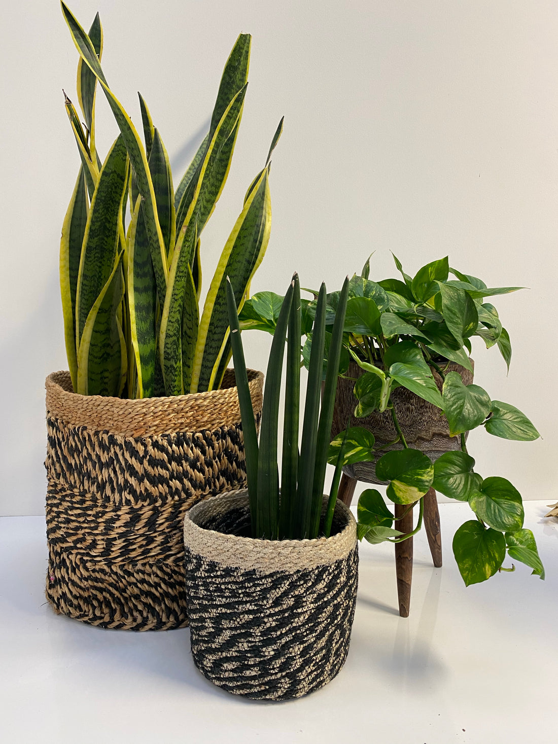 Timber stools