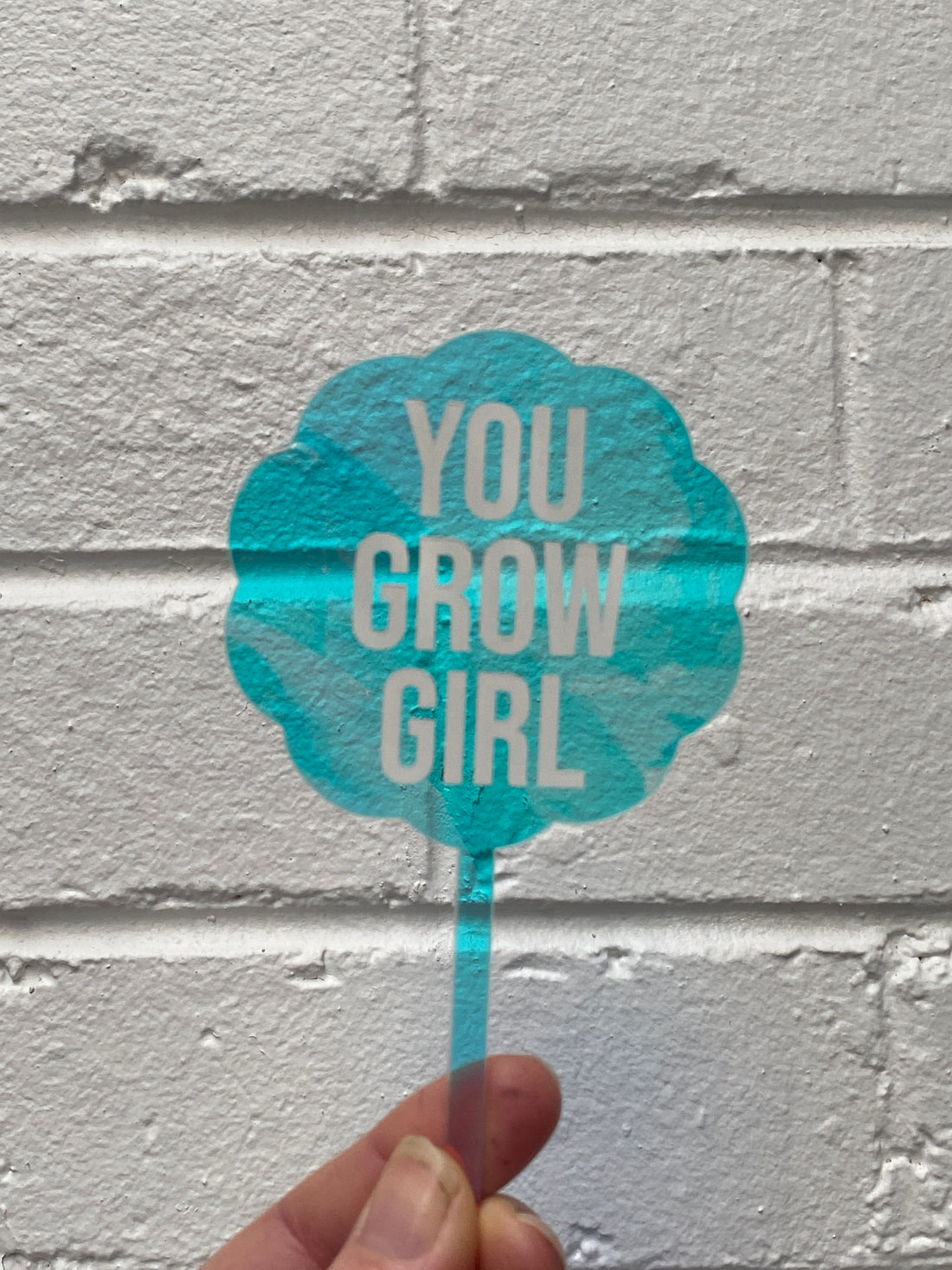 Affirmation Plant Stake