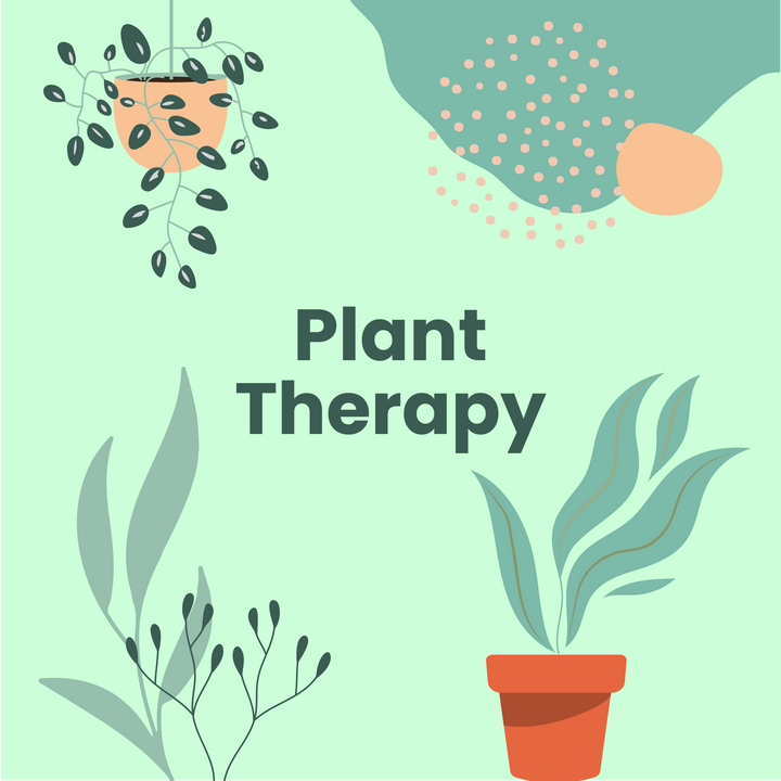 PLANT THERAPY                                                     workshop on cultivating self-compassion