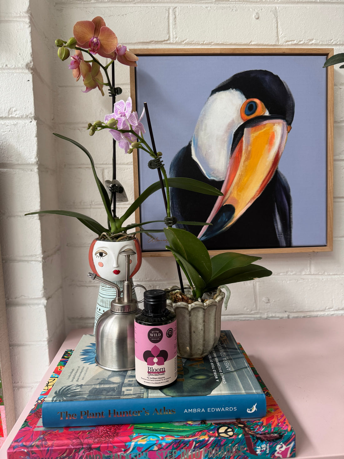 Ellen Designs | Lady Blush Planter-Vase